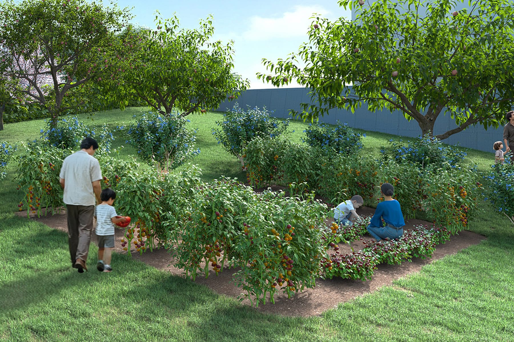 体験農場／果樹園